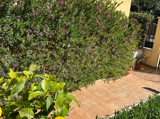 Belsit Bed & Breakfast主图