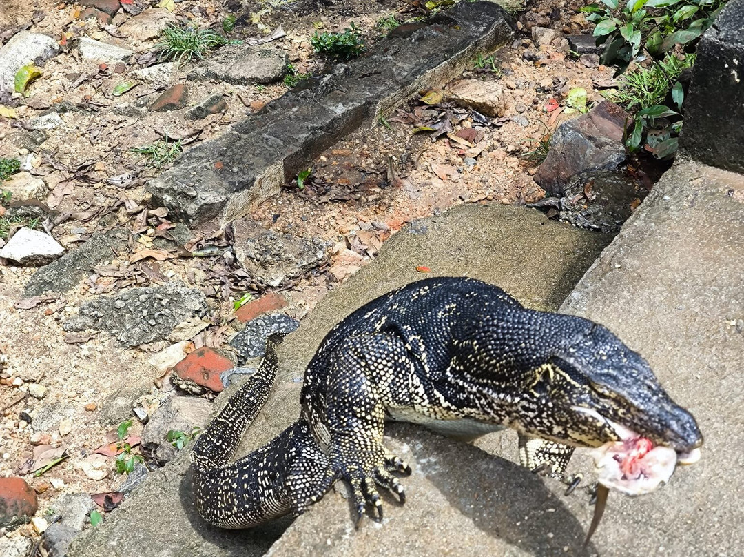 Balanna Travel Co-卡图纳耶克必去景点