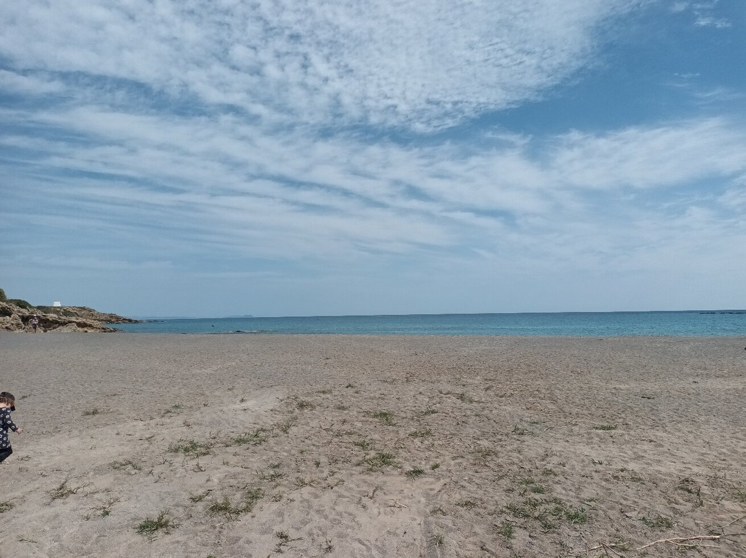 Frangokastello Beach景点图片