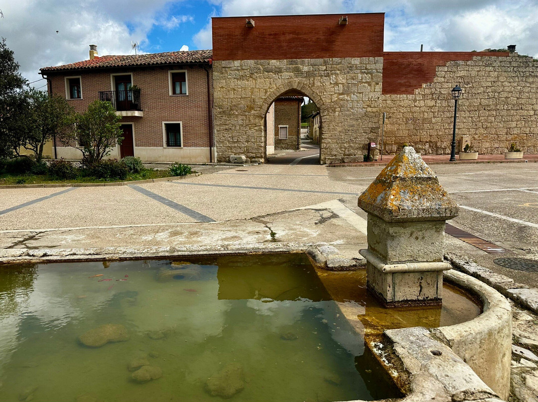 Arco del Cano景点图片