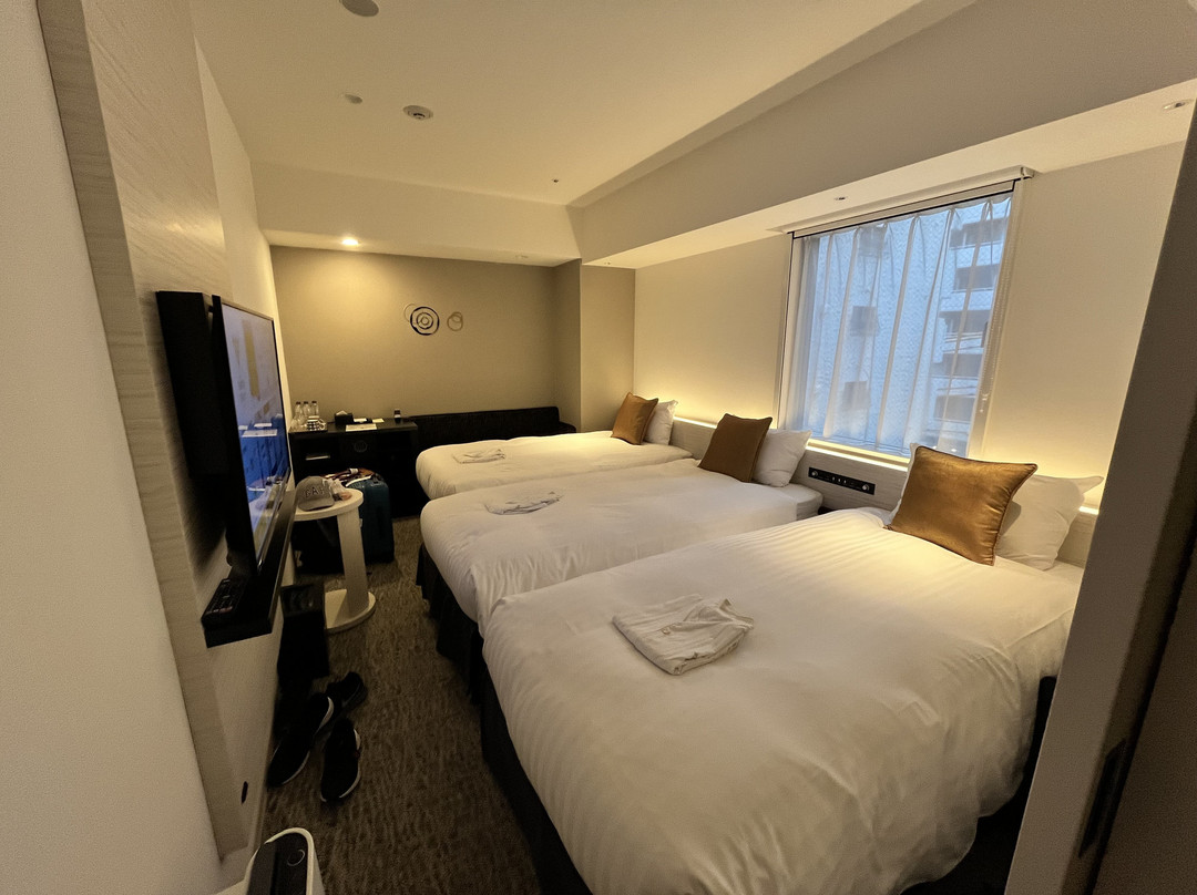 Hotel Vista Tokyo Tsukiji主图