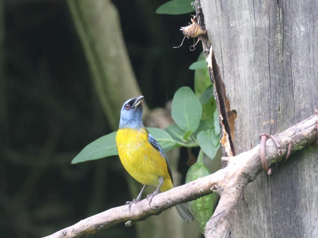 San Jorge Eco-Lodge & Botanical Reserve主图