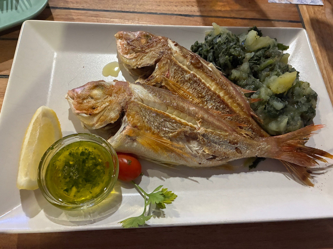 Stella Maris - Ribja Kantina In Bar