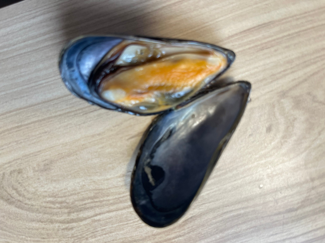 Baie Ellis Range Rear Lighthouse