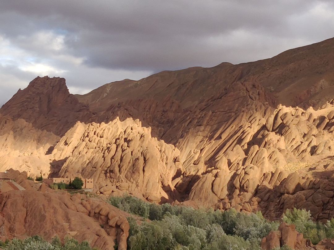 Plein Desert景点图片