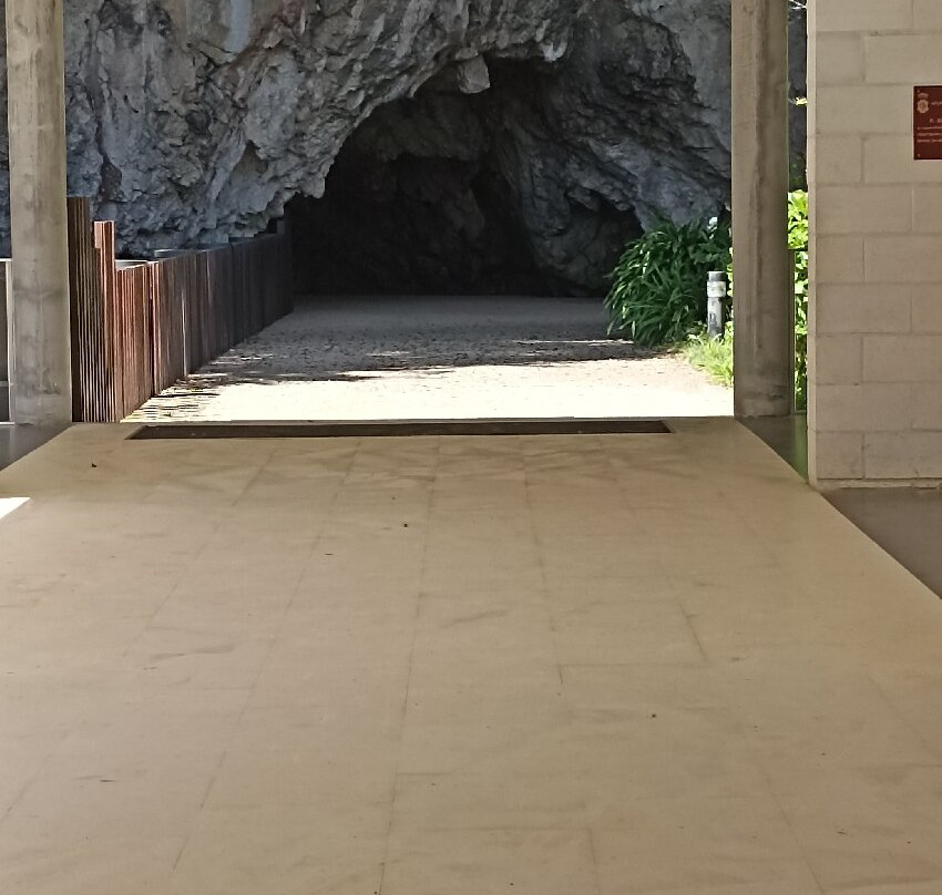 Cueva de Tito Bustillo-里瓦德塞利亚必去景点