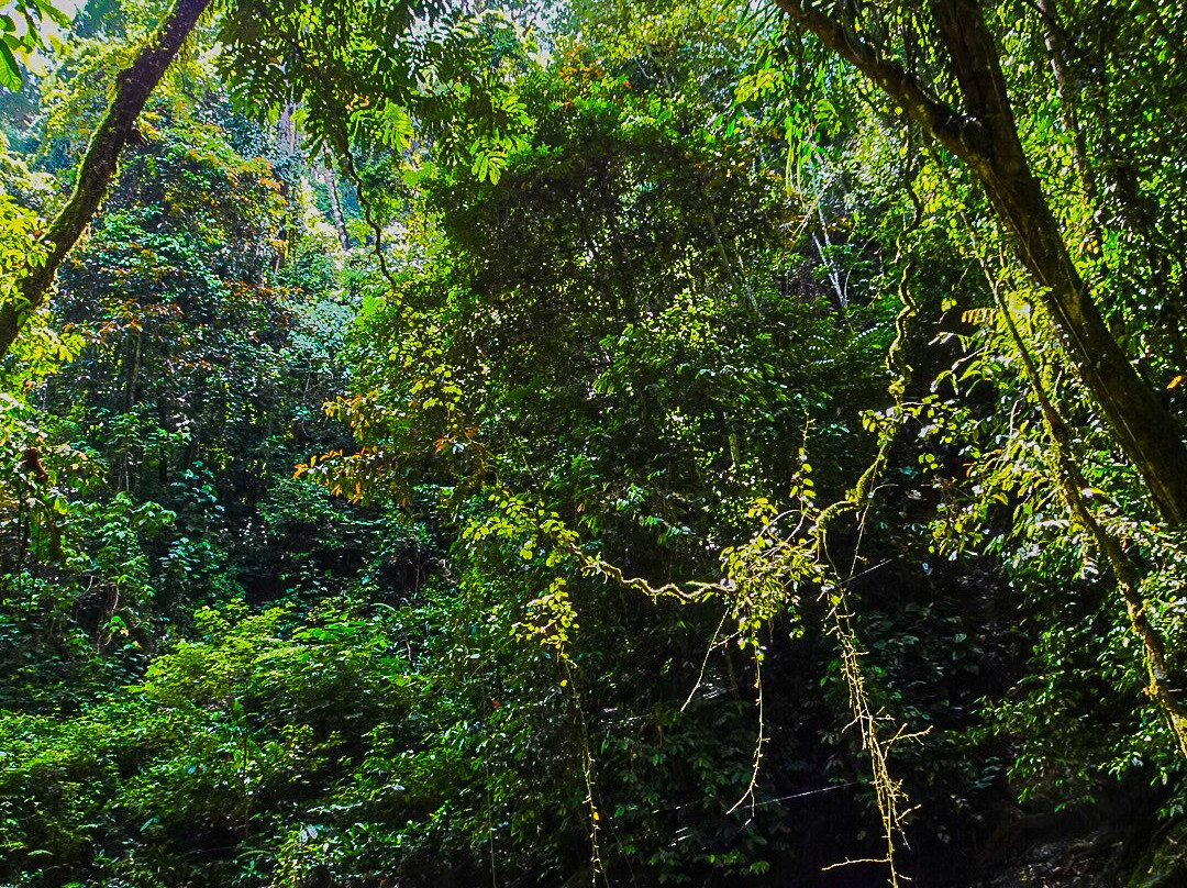 Simolap Wild Adventures-武吉拉旺必去景点