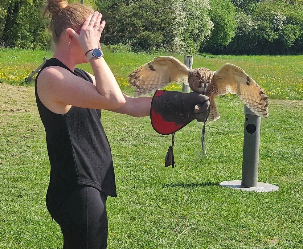 Lavenham Falconry景点图片