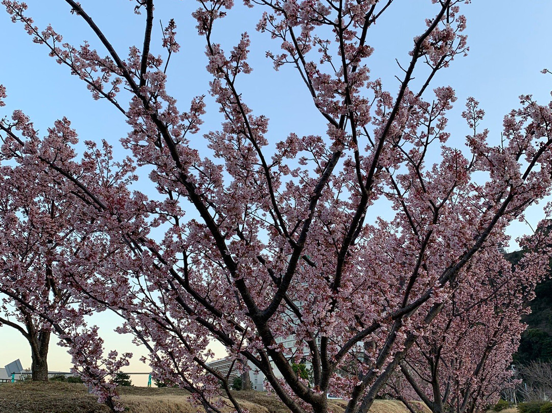 Itokawa Path-热海市必去景点