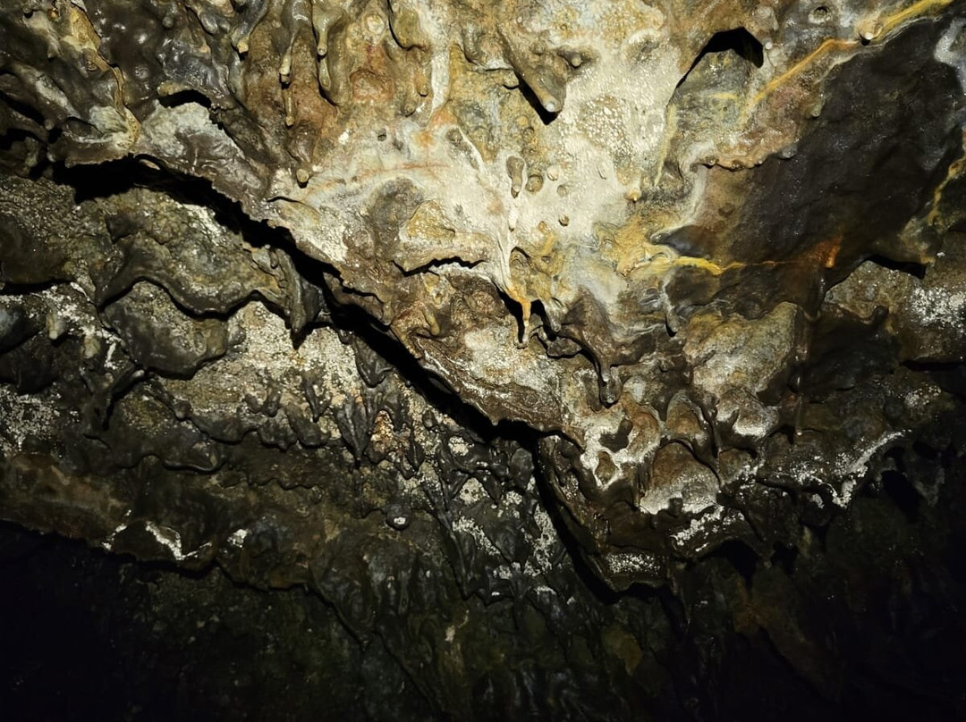 Bazaltik Réunion, Tunnels de lave景点图片