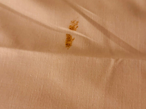 康帕斯集团哈利法克斯白天鹅酒店主图