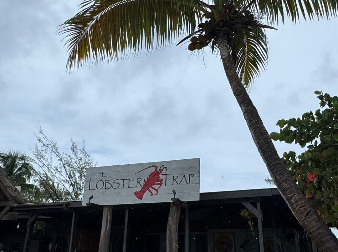 Tommy Gaunt Kitesurfing-Anegada必去景点