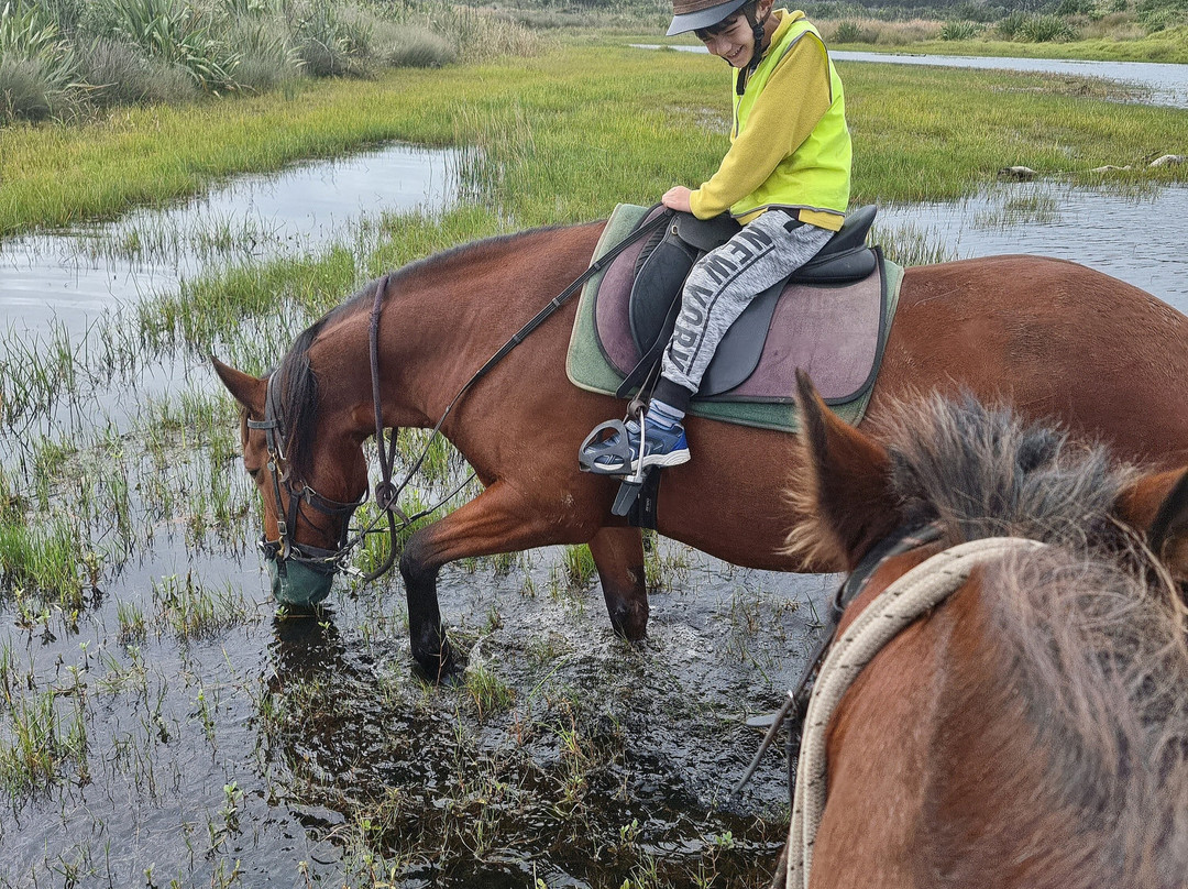 Muriwai Beach Horse Treks景点图片