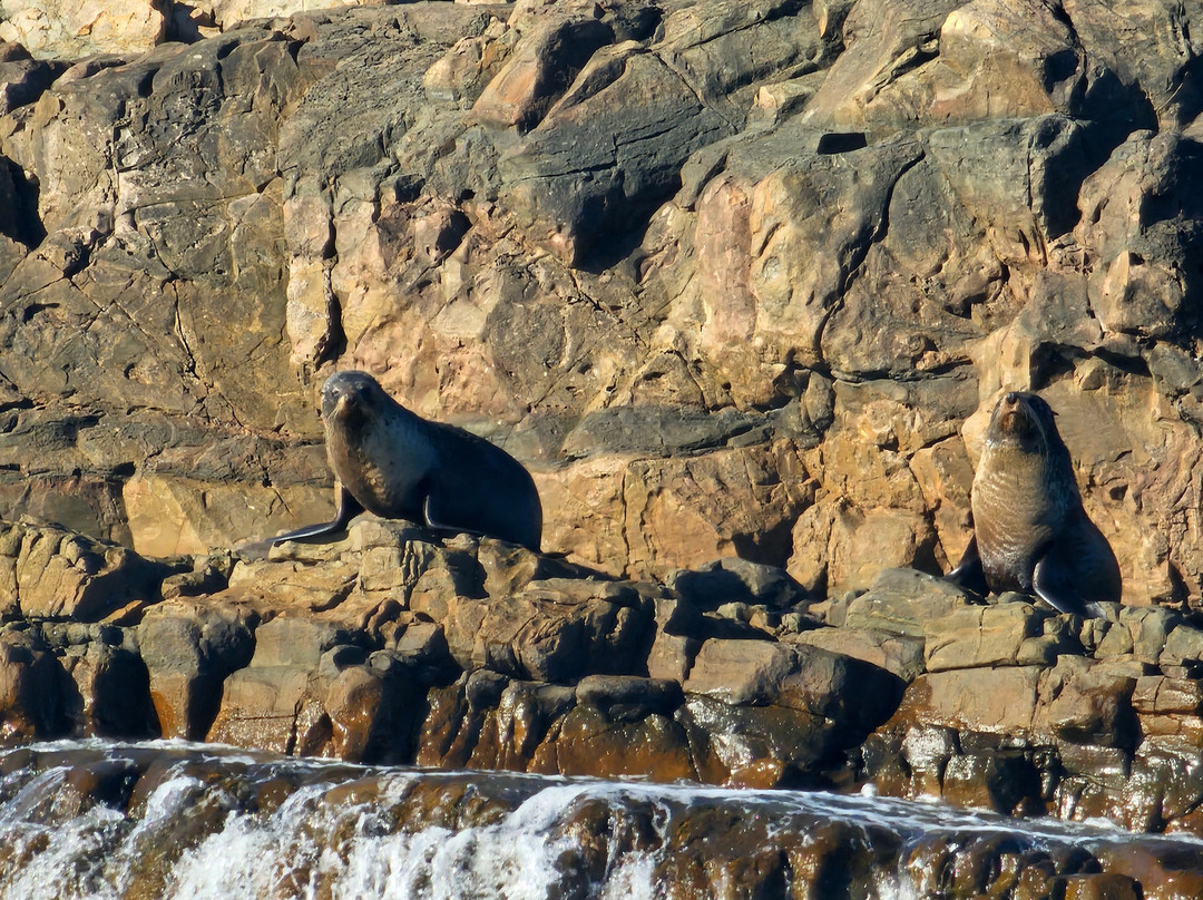 RAD KI-Stokes Bay必去景点