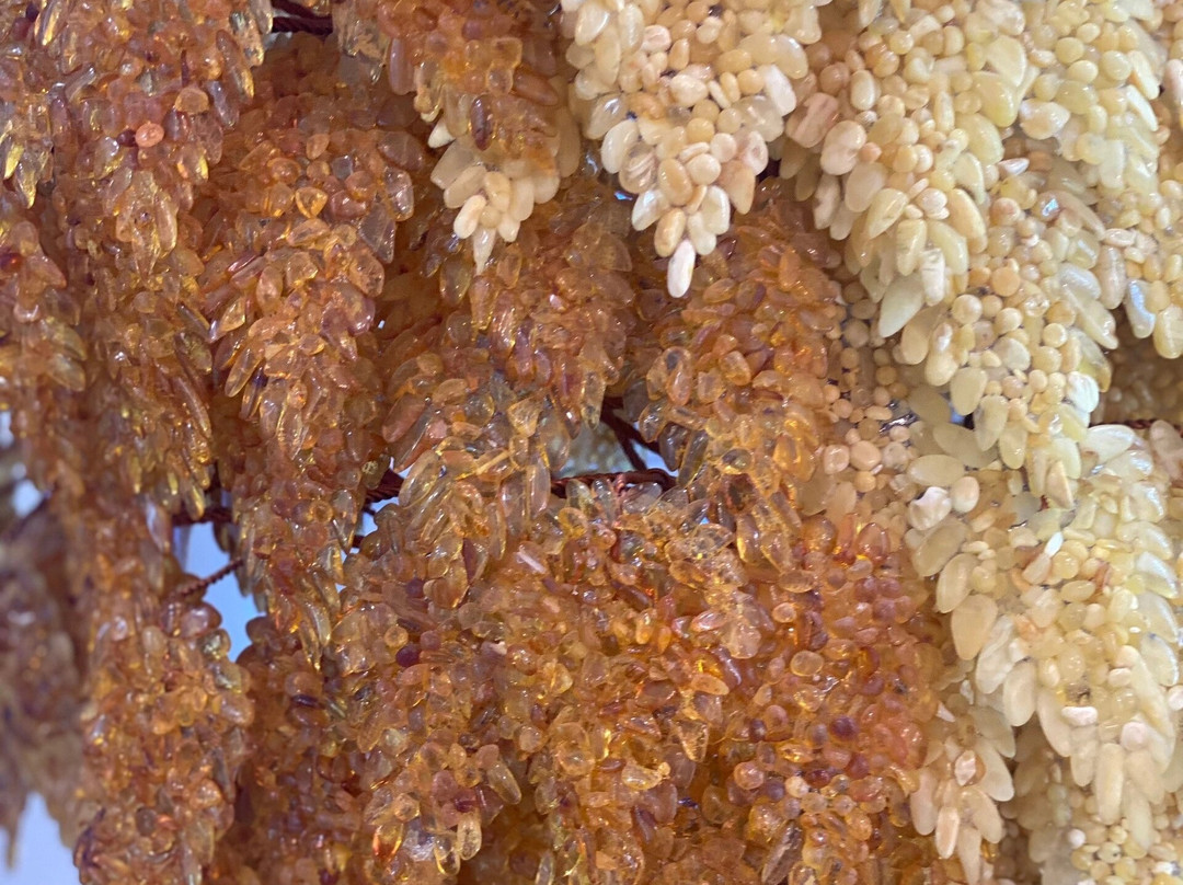 Russian Amber Shop-斯韦特洛戈尔斯克必去景点