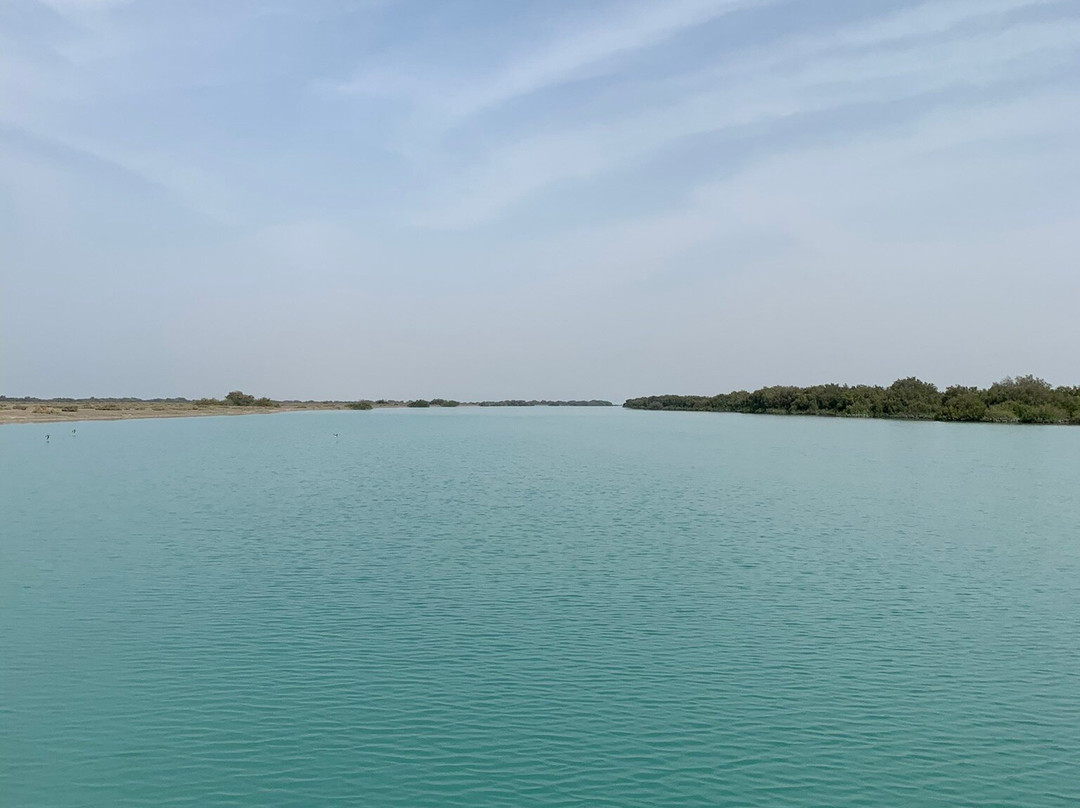 Mangrove Forests of Qeshm景点图片
