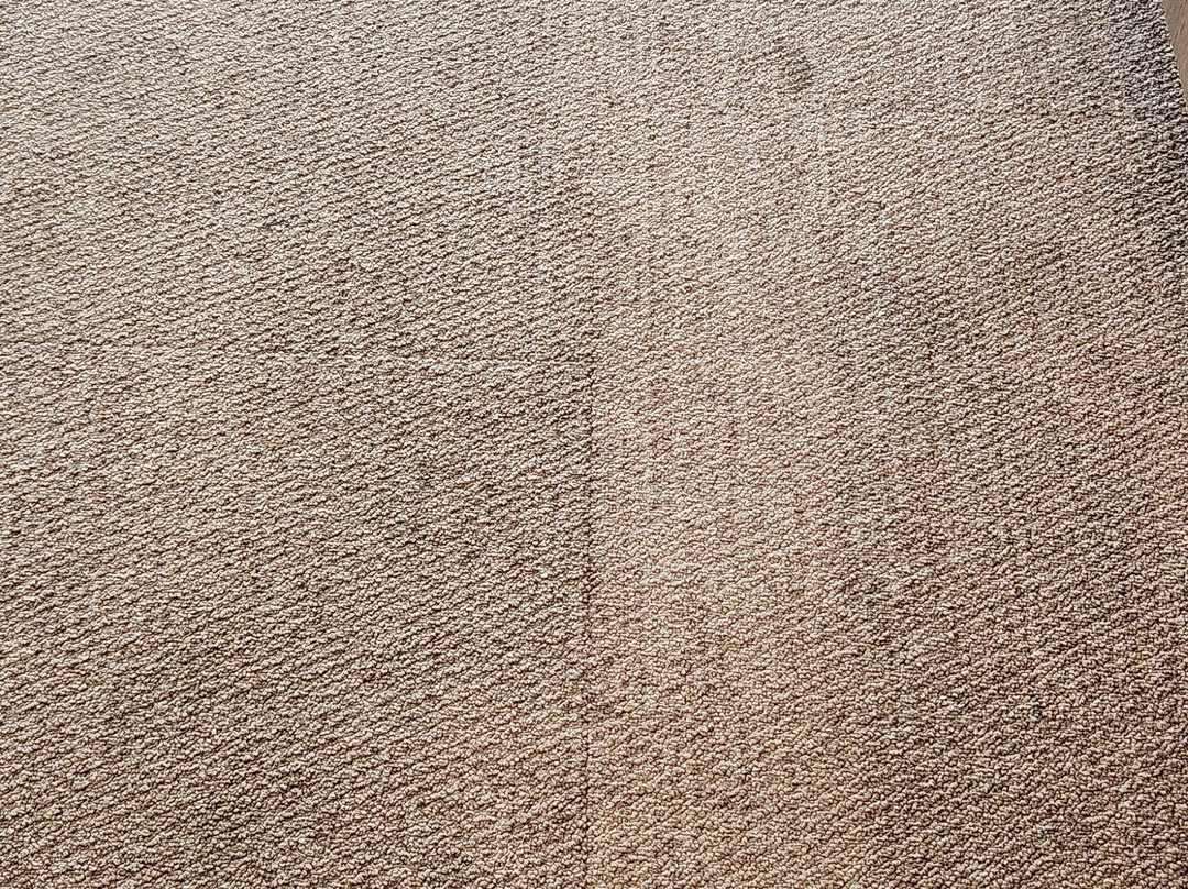 Home2 Suites by Hilton Charlotte Piper Glen主图