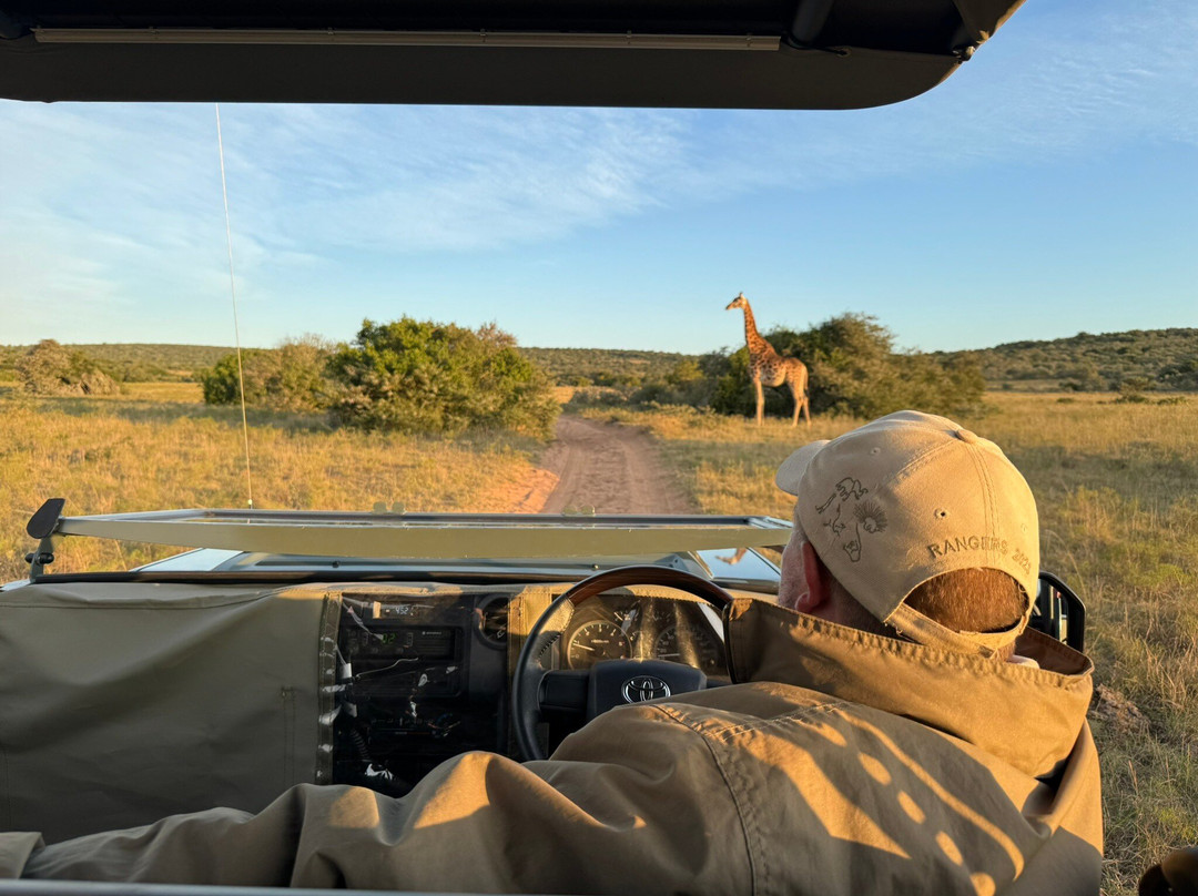 Amakhala Game Reserve主图