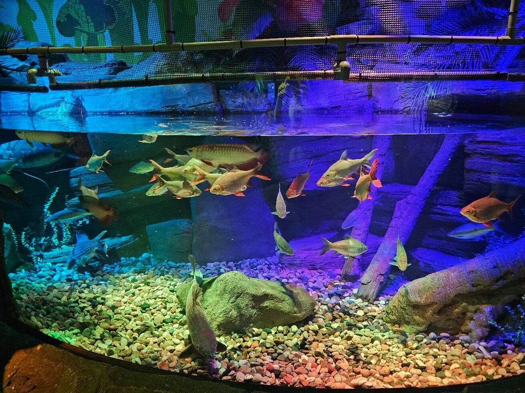 Legoland Sea Life景点图片