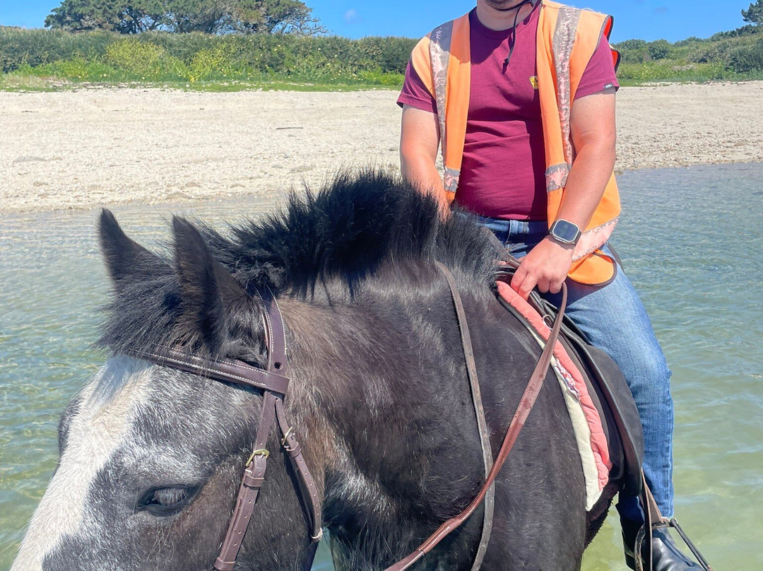 St Mary's Riding Centre-St Mary's必去景点