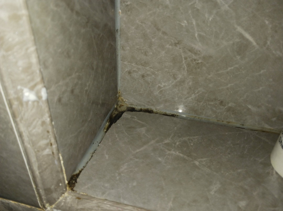 Venus Royale Hotel Coron