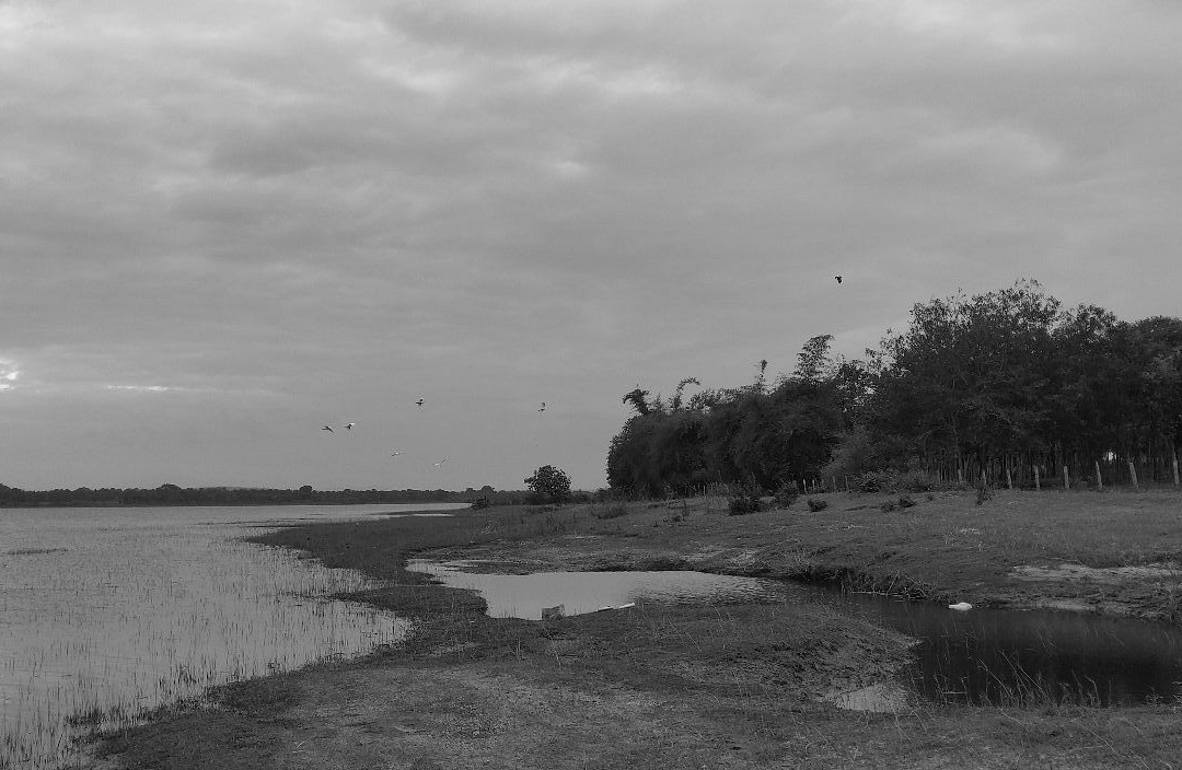 Kabini River-卡尔贝塔必去景点