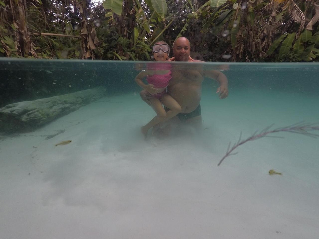 Fervedouro Do Alecrim-Sao Felix do Tocantins必去景点