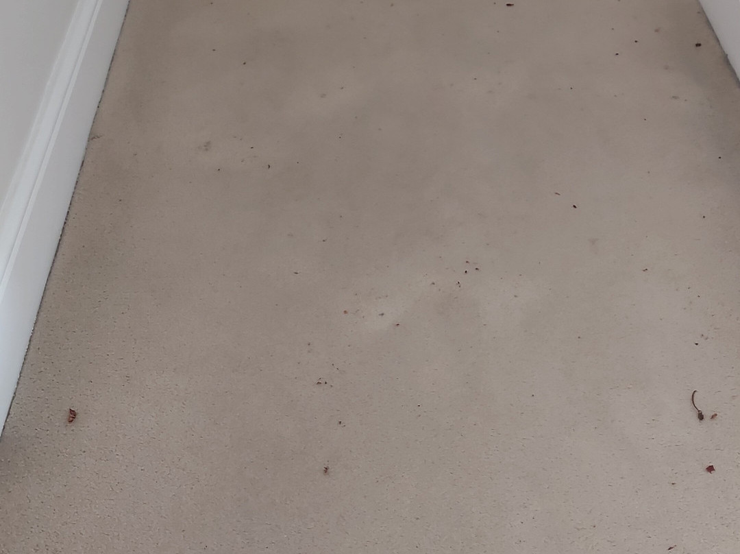 费西摩尔大楼酒店主图