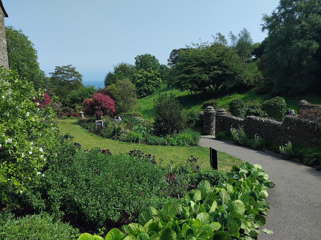 Coleton Fishacre景点图片