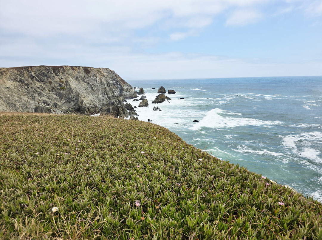 Bodega Head景点图片