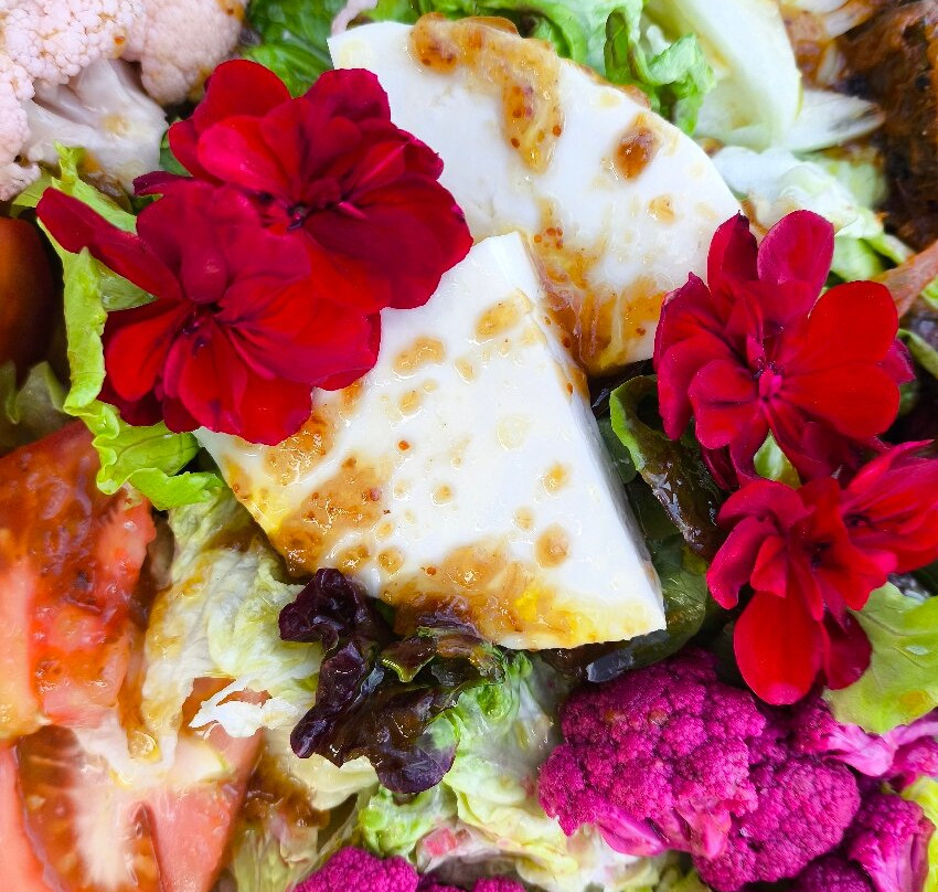 Finca Bell-Lloc主图