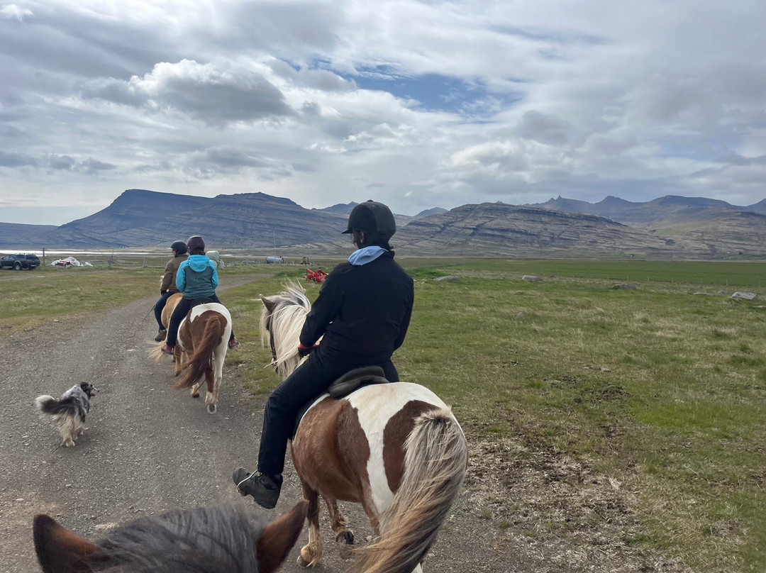 Fell Horse Rental-Breiddalsvik必去景点