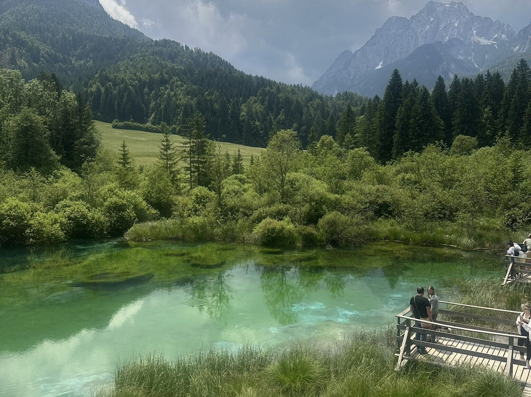 Zelenci Nature Reserve景点图片