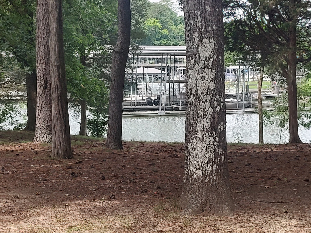 Lenoir City Park景点图片