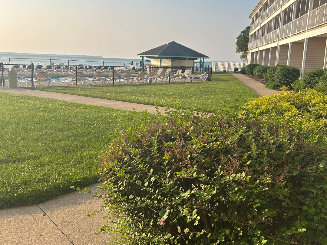 BayShore - 112主图