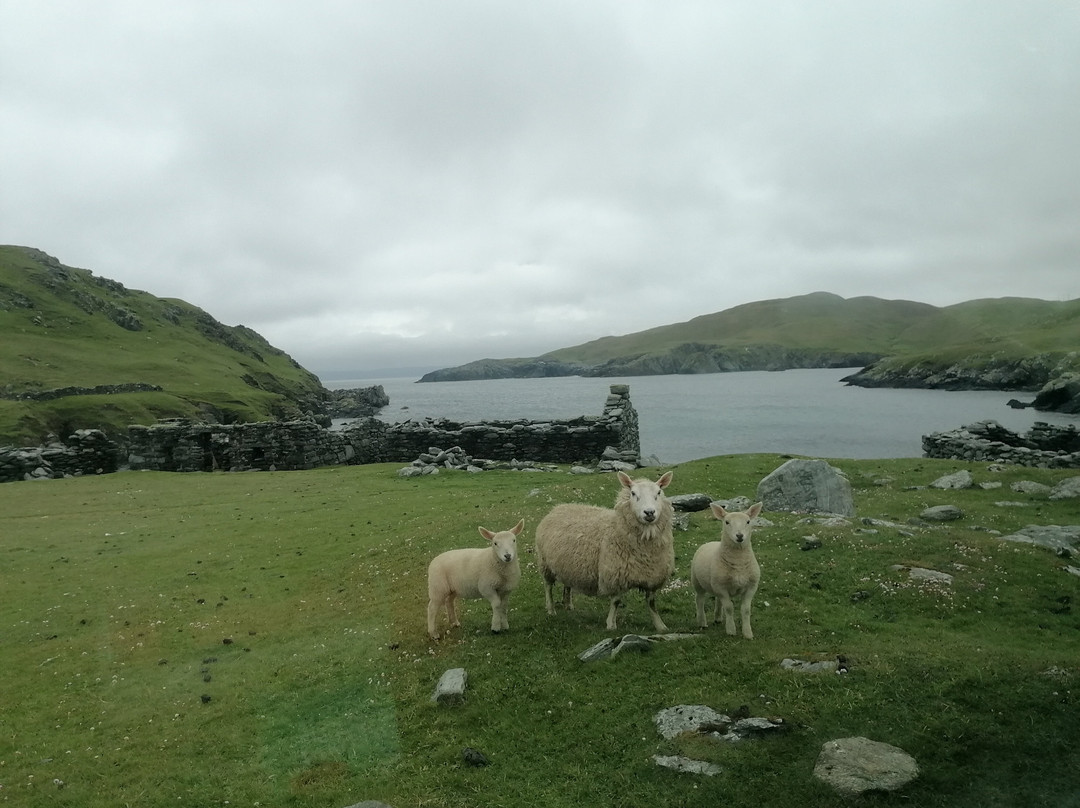 Shetland Rural Experience-Tingwall必去景点