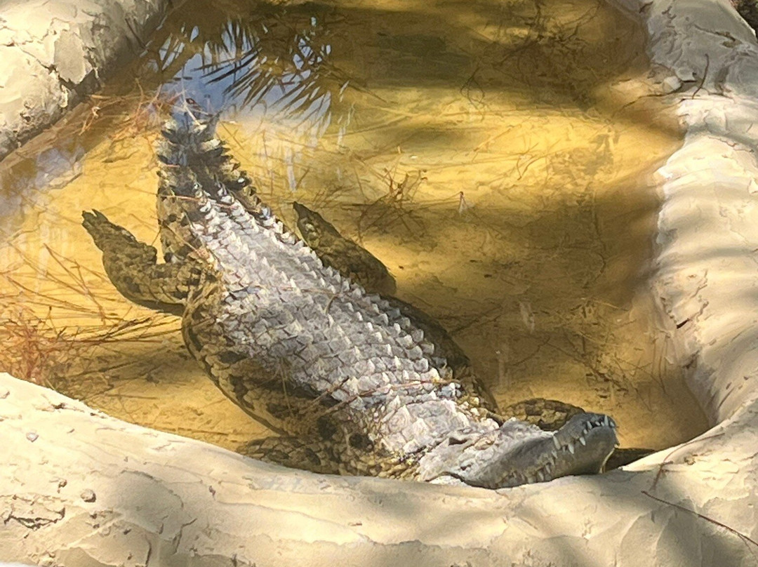 McCarthy's Wildlife Sanctuary景点图片