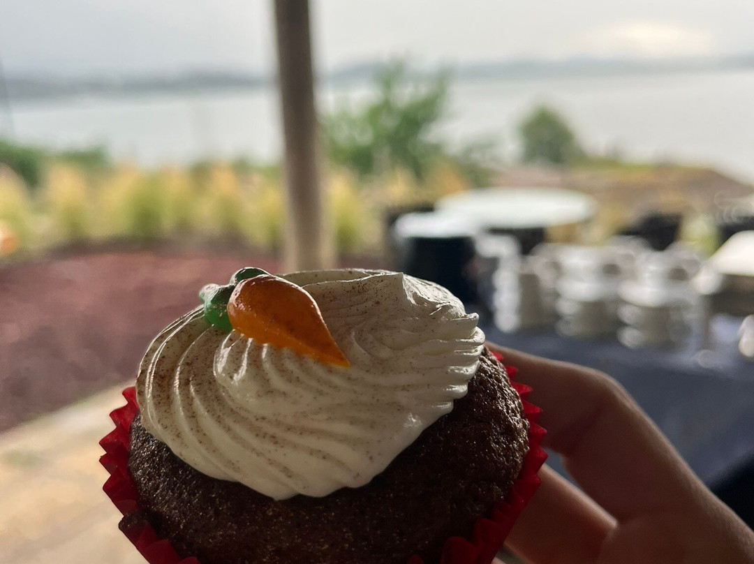 Gamma Monterrey Rincon de Santiago主图