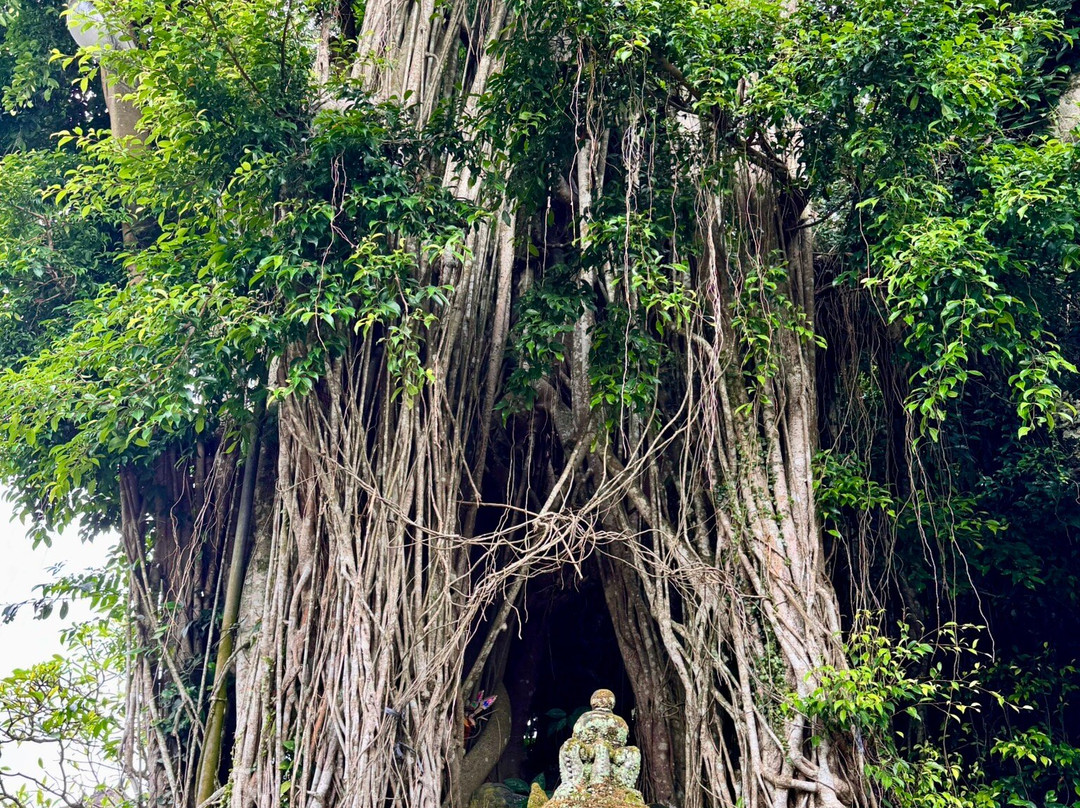 科里乌布度假村主图