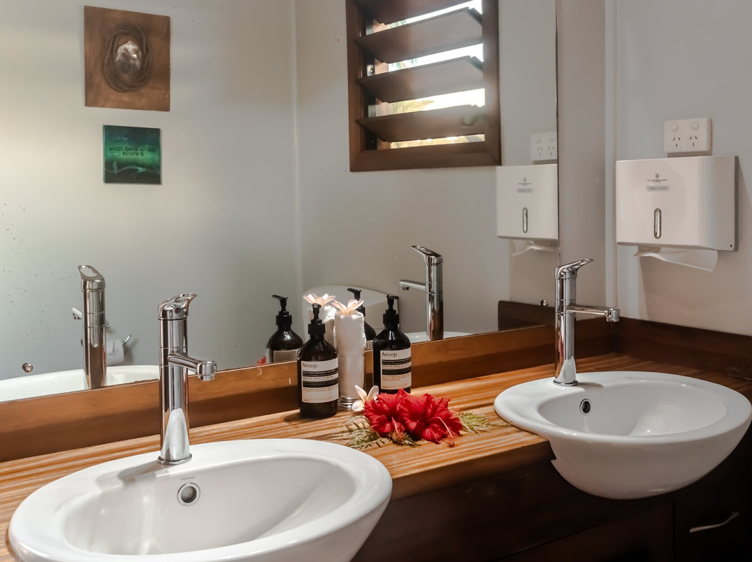 塔韦乌尼岛酒店住宿-塔韦马尼岛阿罗哈