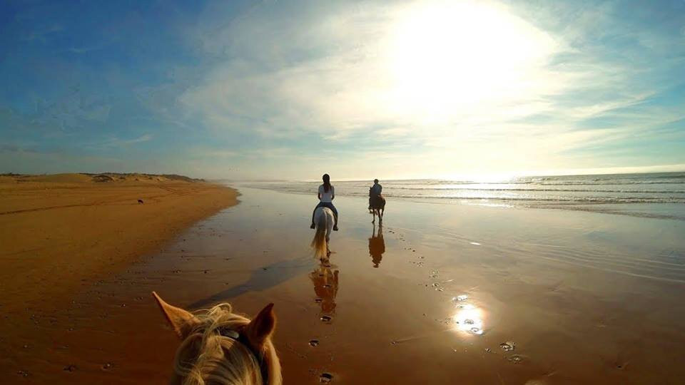 Ranch Sahara-阿加迪尔必去景点