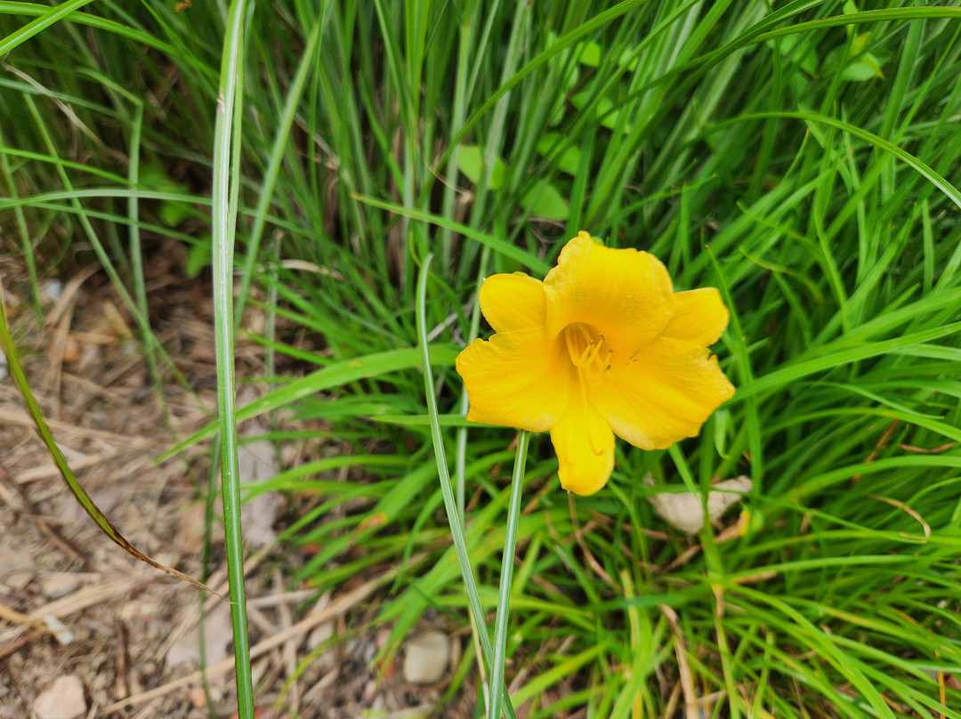 Young's Jersey Dairy Farm-Yellow Springs必去景点