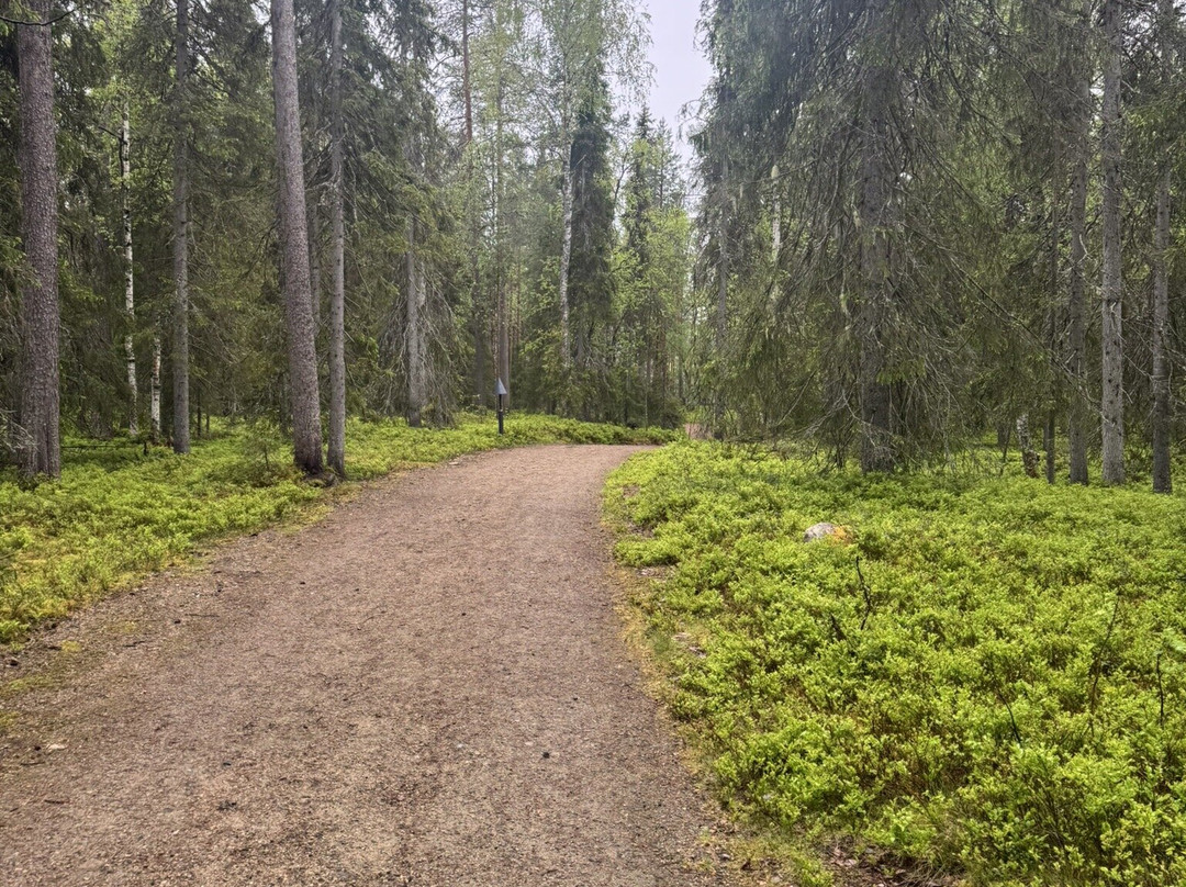 Ahvenlampi Lake-Luosto必去景点