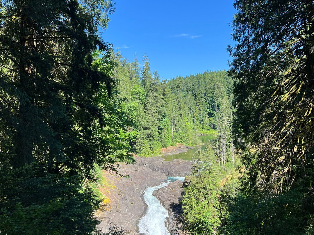 Elk Falls Suspension Bridge-坎贝尔里弗必去景点