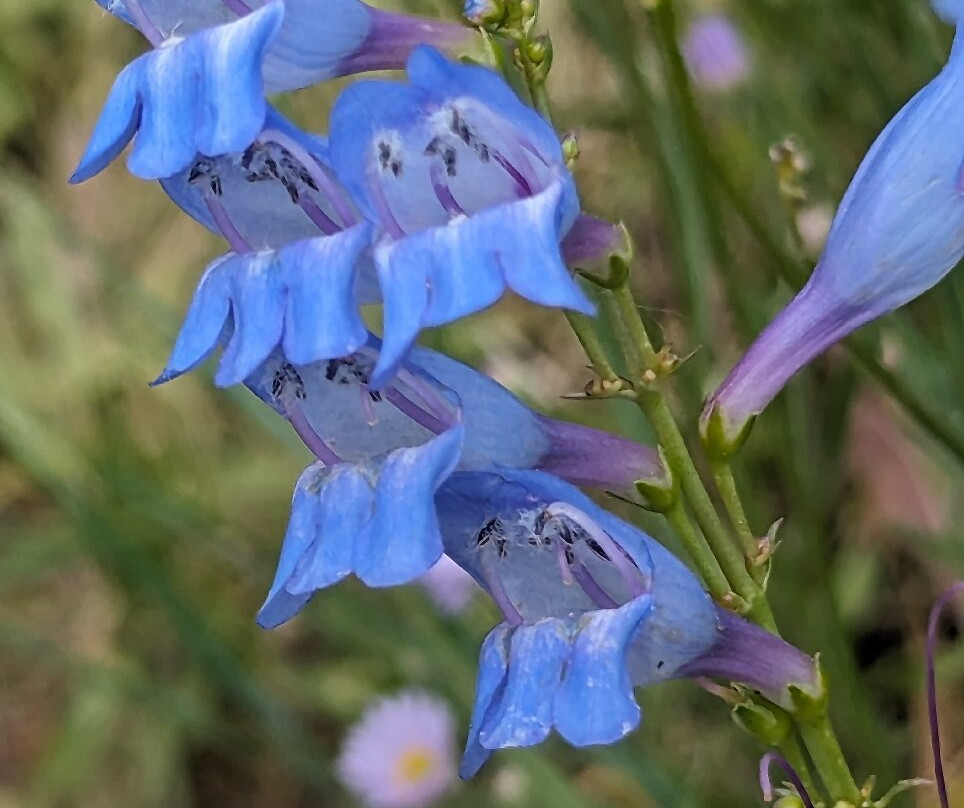 Sinks Canyon State Park-兰德尔必去景点