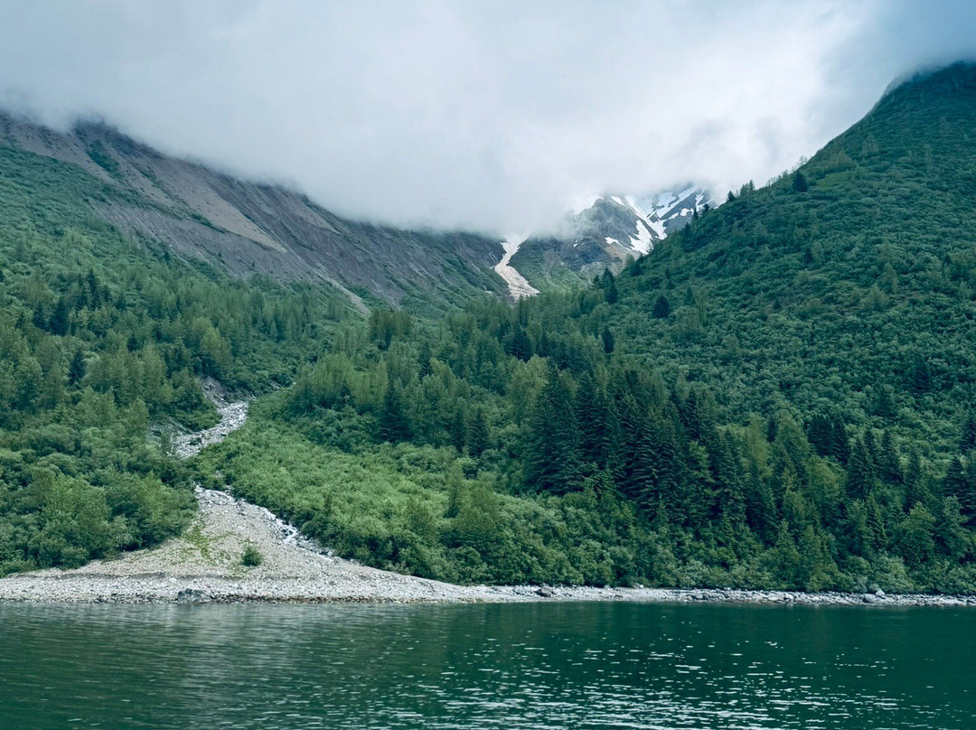 Glacier Bay Lodge & Tours-古斯塔夫斯必去景点