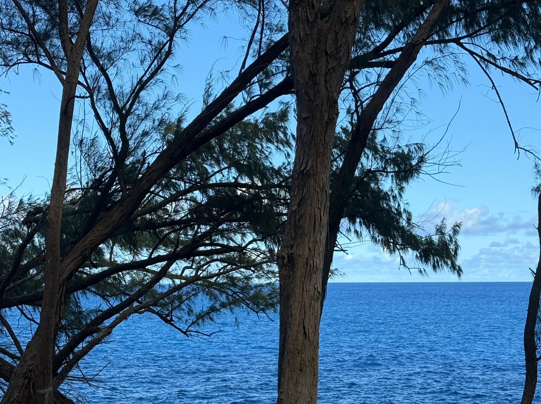 MacKenzie State Park-夏威夷大岛必去景点