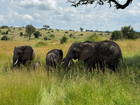 Chemli Expeditions-莫西必去景点