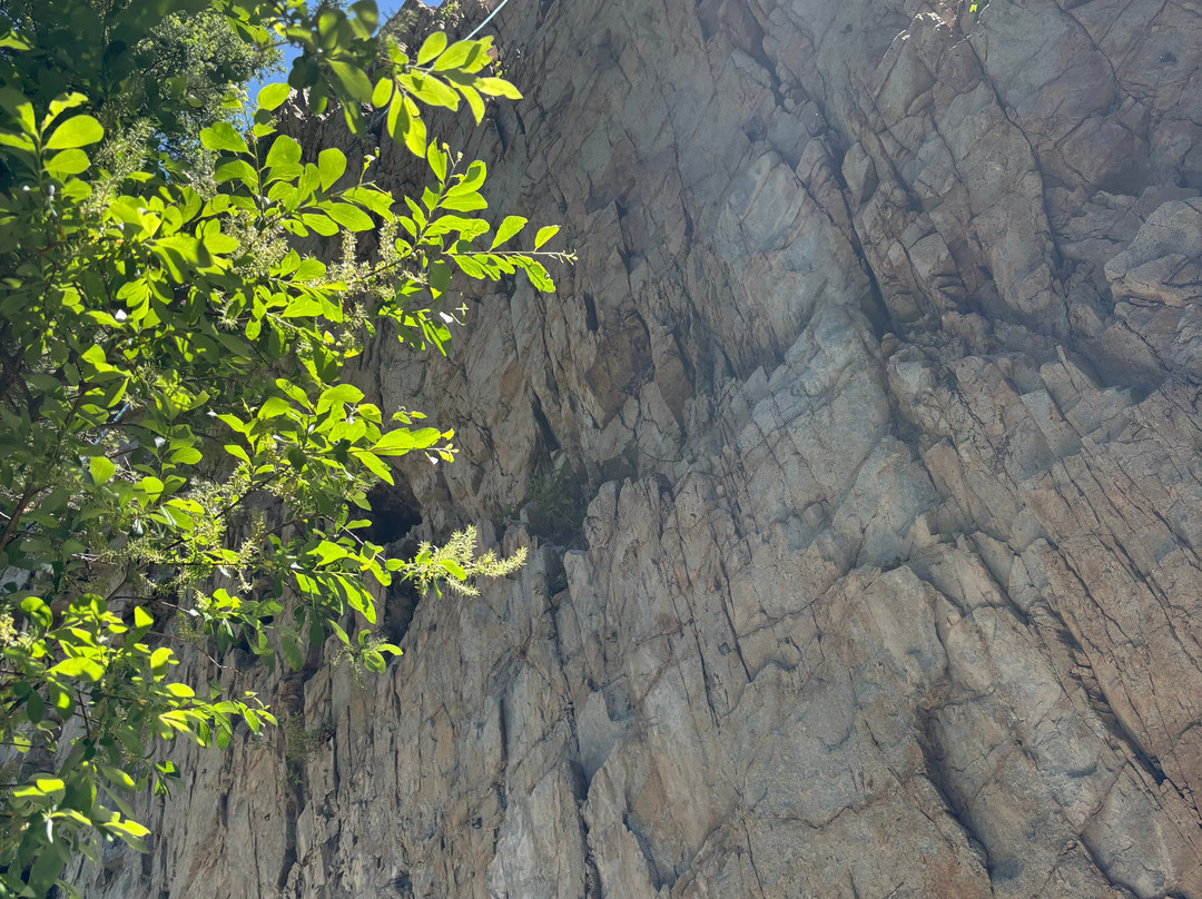 Mountain Skills Rock Guides, LLC-道师城必去景点