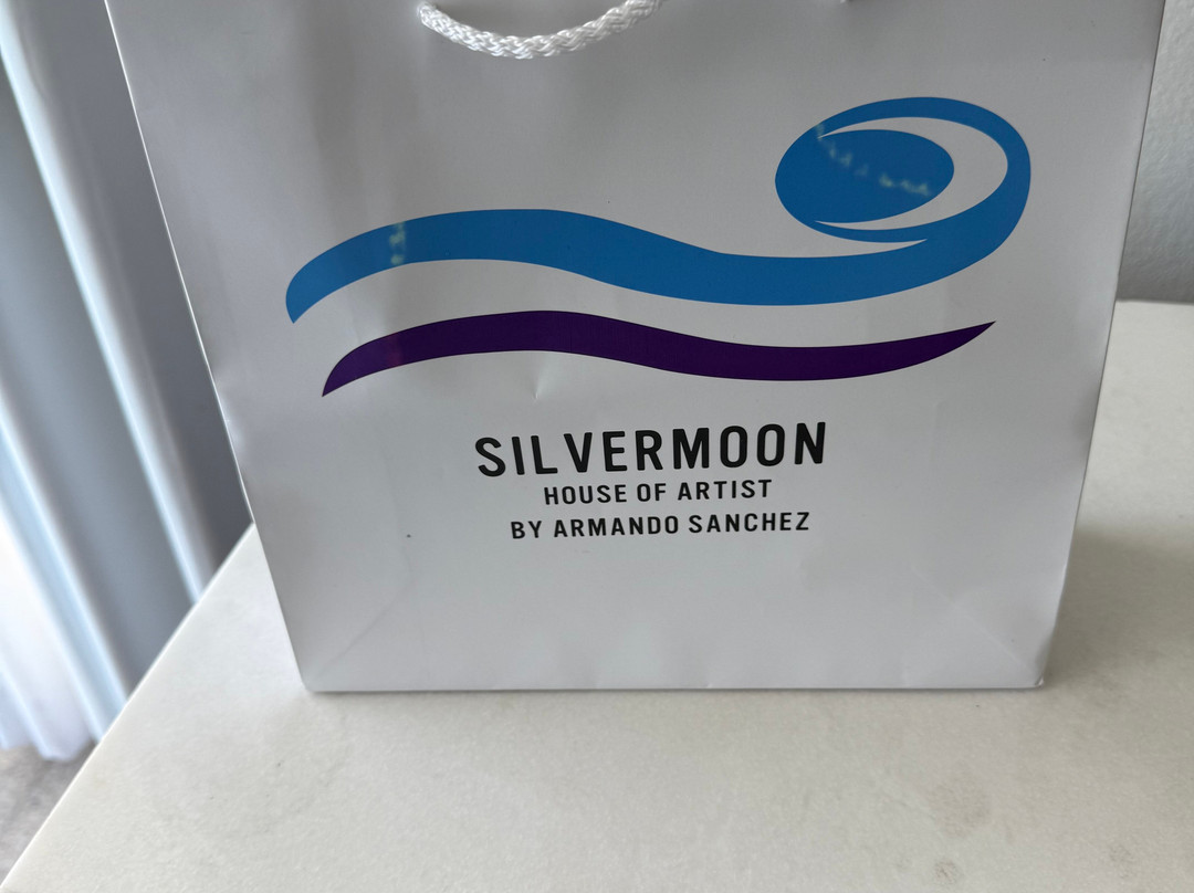 Sillvermoon Gallery-圣何塞卡波必去景点